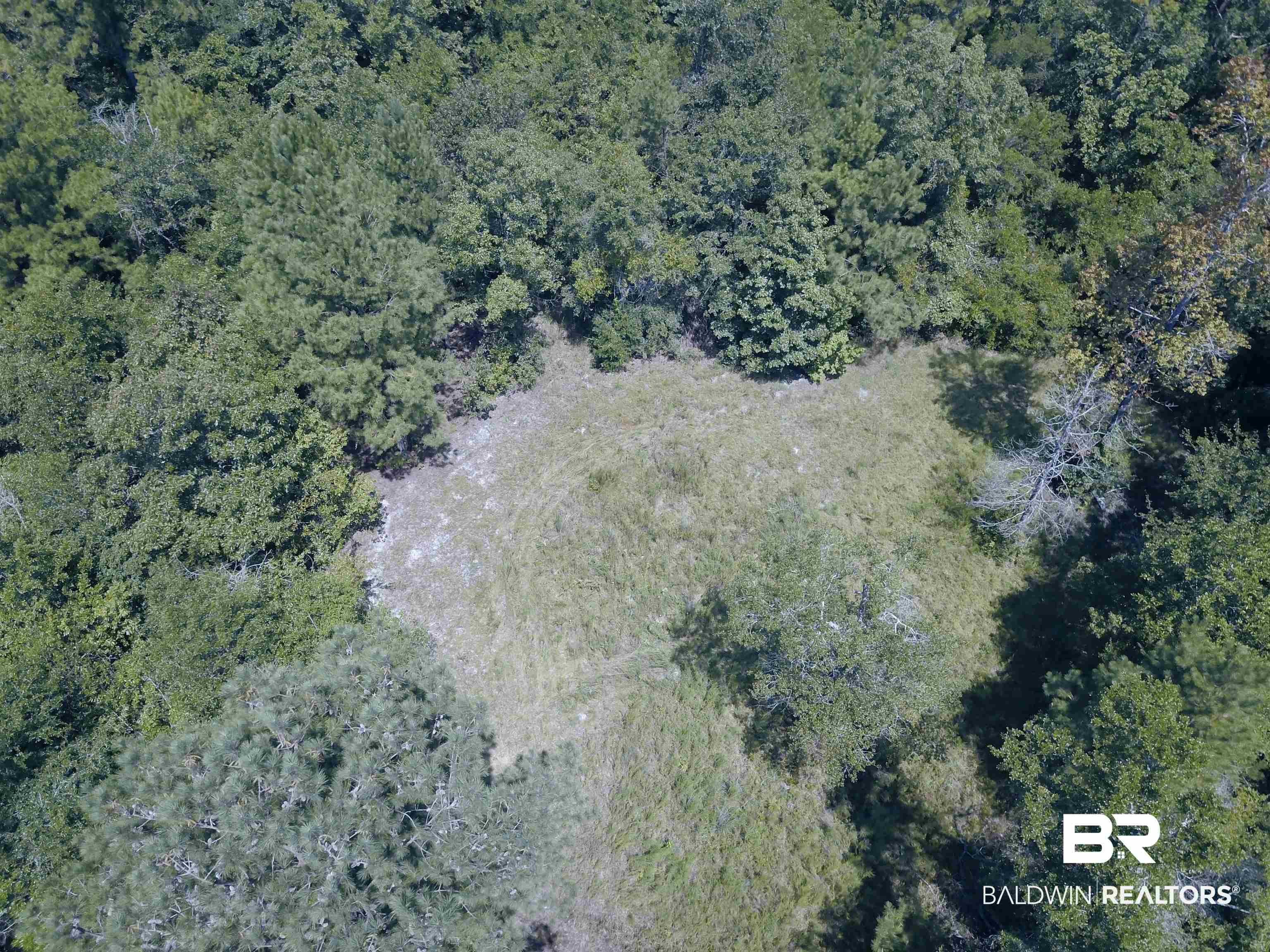 17175 Kelly Road Mount Vernon, AL 36560 - Photo 5 of 30 Aerial view