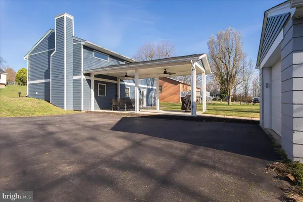 a view of backyard with large tree