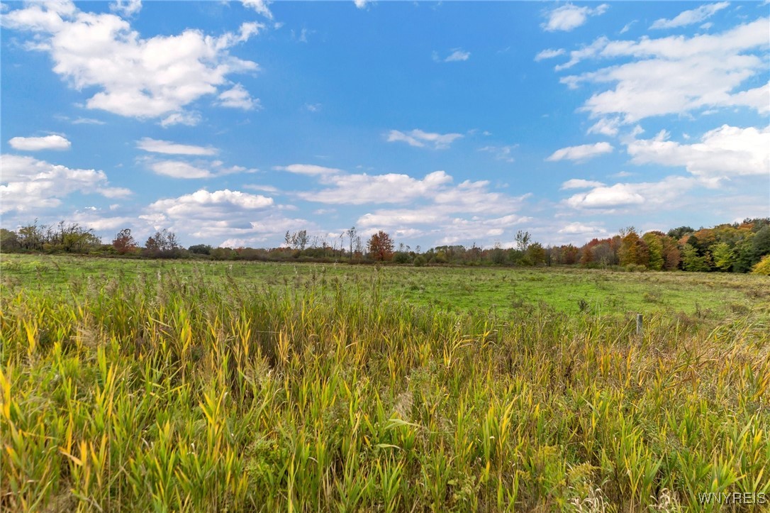 851 Getman Road Bennington, NY 14004 - Photo 15 of 29