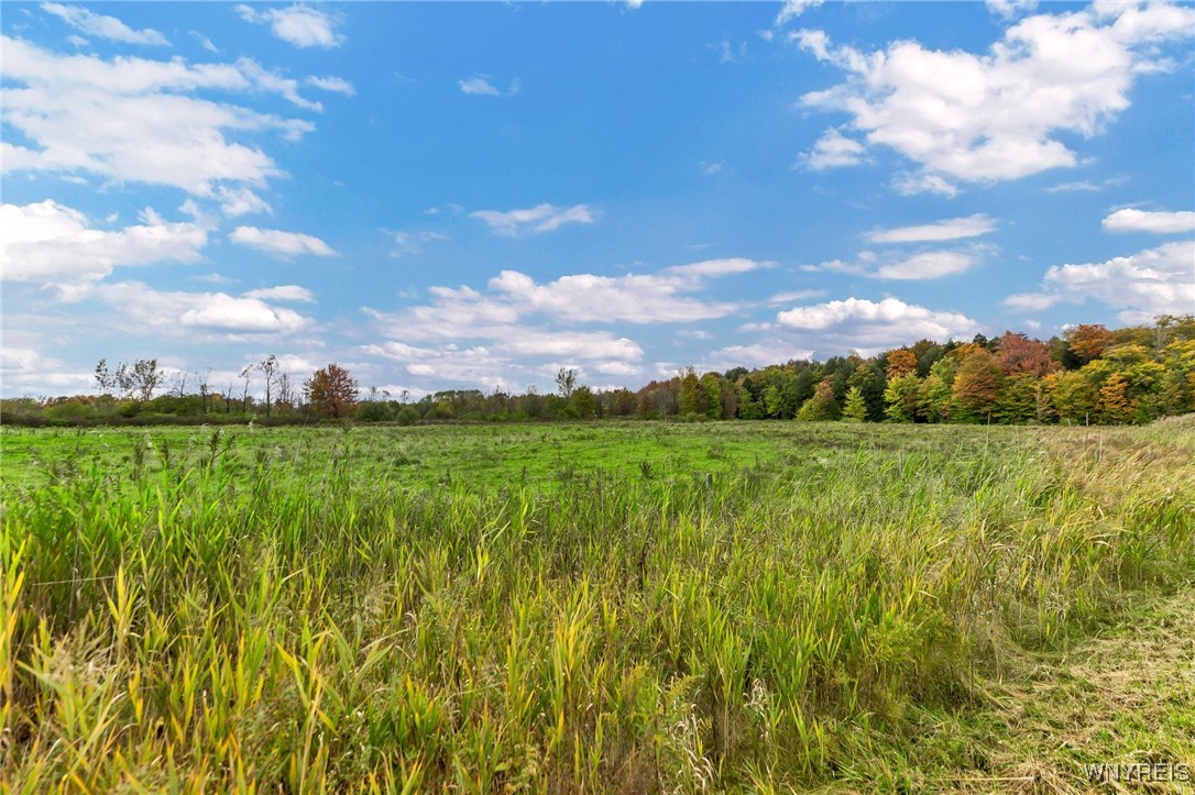 851 Getman Road Bennington, NY 14004 - Photo 16 of 29