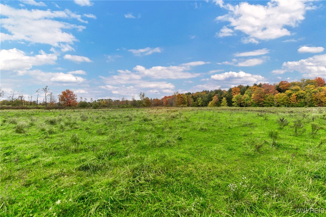 851 Getman Road Bennington, NY 14004 - Photo 20 of 29