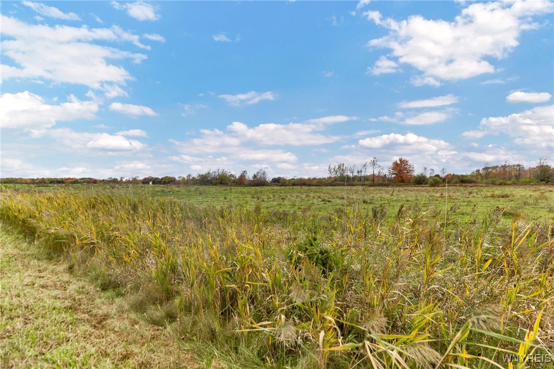 851 Getman Road Bennington, NY 14004 - Photo 6 of 29