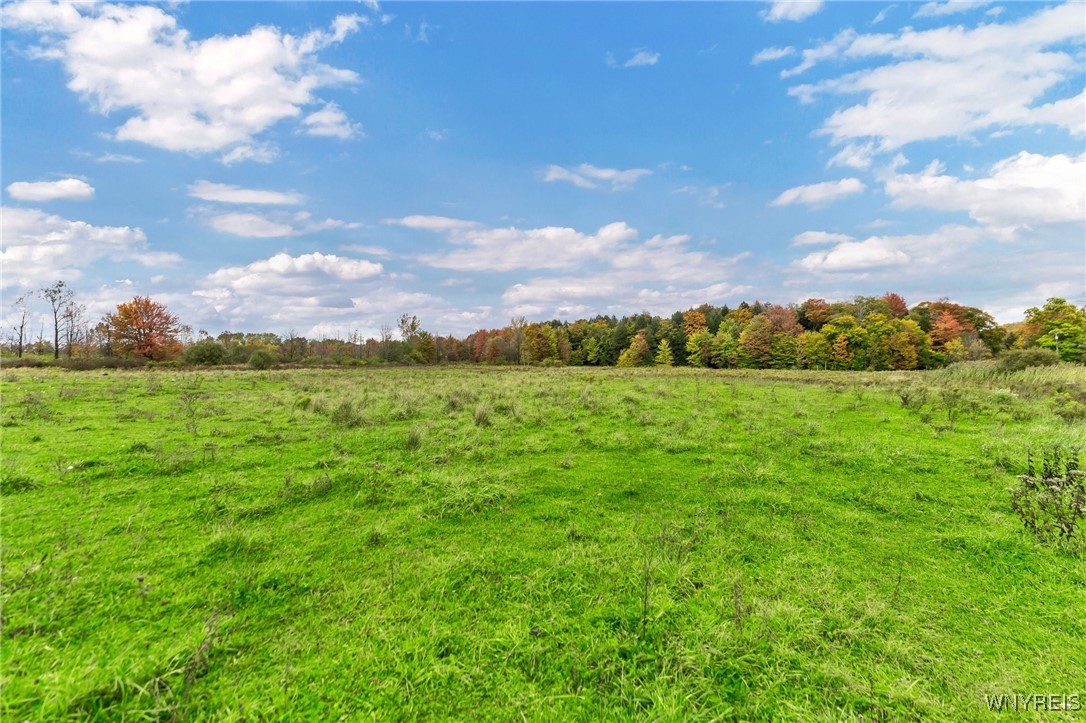 851 Getman Road Bennington, NY 14004 - Photo 8 of 29