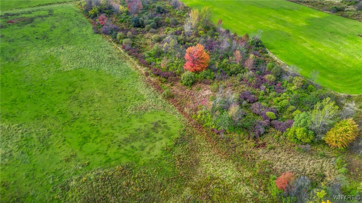 851 Getman Road Bennington, NY 14004 - Photo 9 of 29