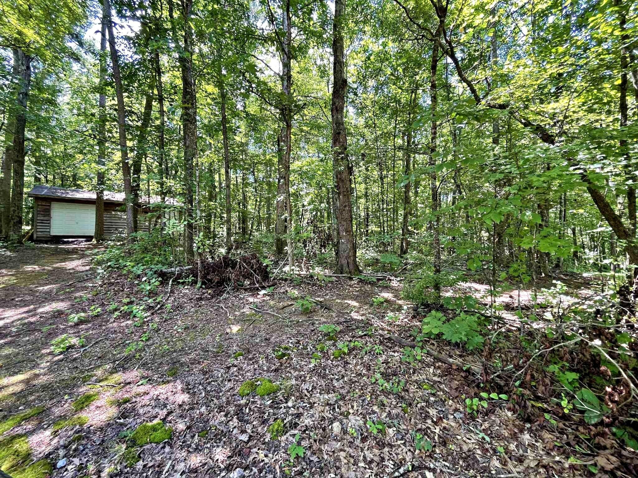499 Correll Ridge Road Decatur, TN 37322 - Photo 15 of 66