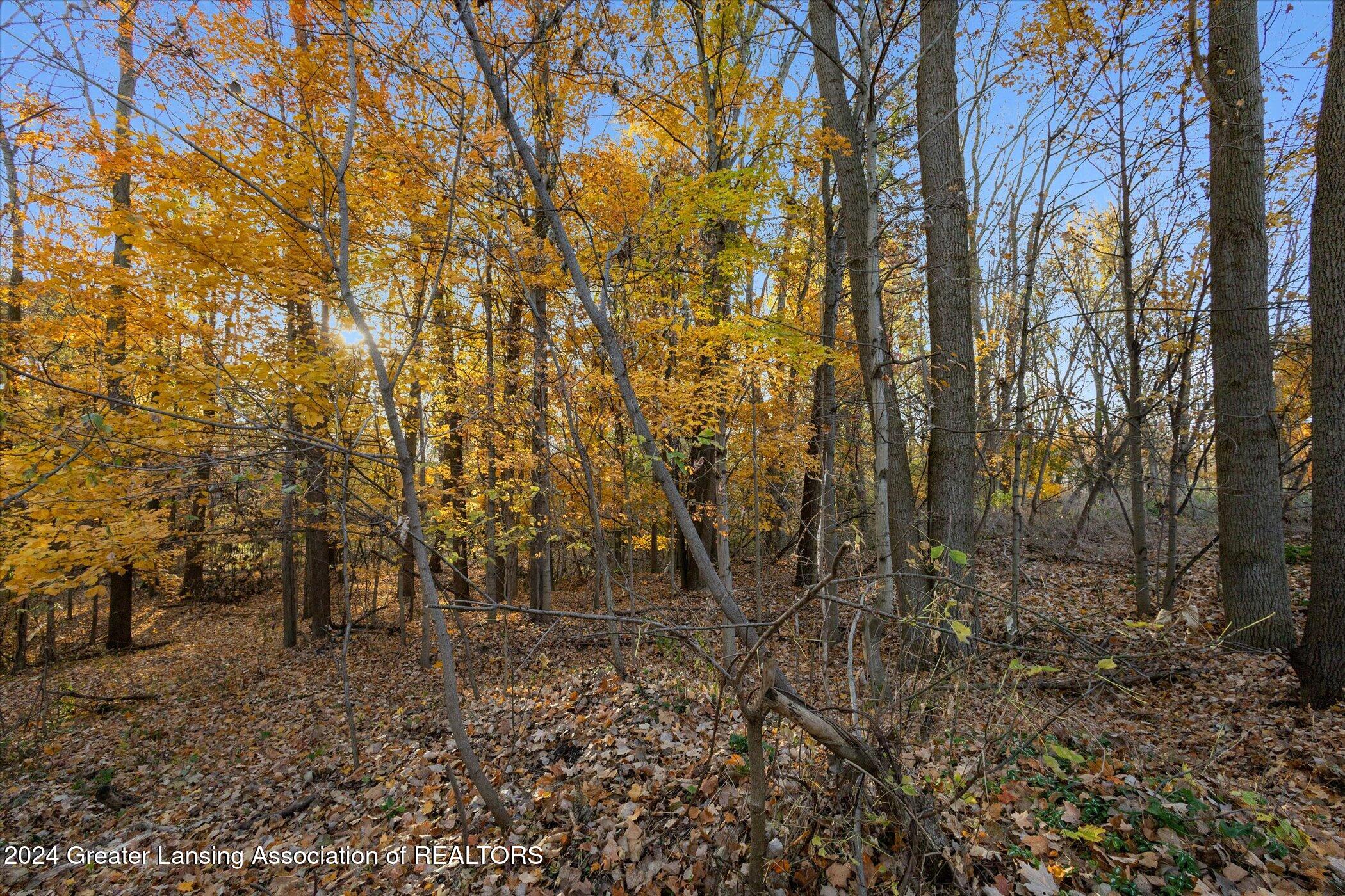 0 Williamsburg Road Lansing, MI 48917 - Photo 8 of 34 04-0-Williamsburg-Rd-Lansing-MI-48917-Wi