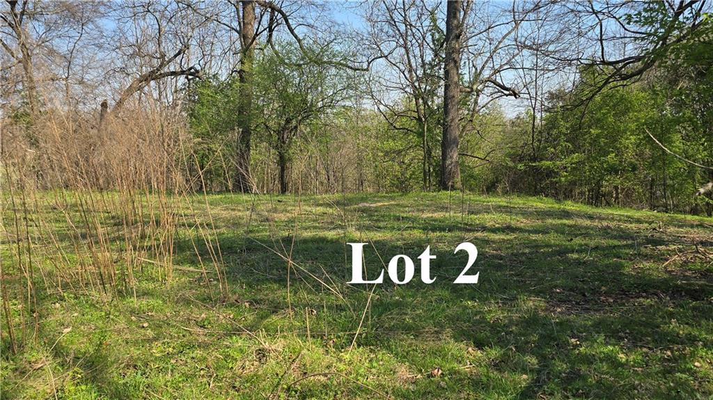 0 West H Hayes Road Winder, GA 30680 - Photo 4 of 10