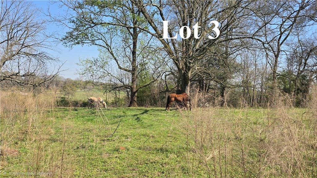 0 West H Hayes Road Winder, GA 30680 - Photo 6 of 10