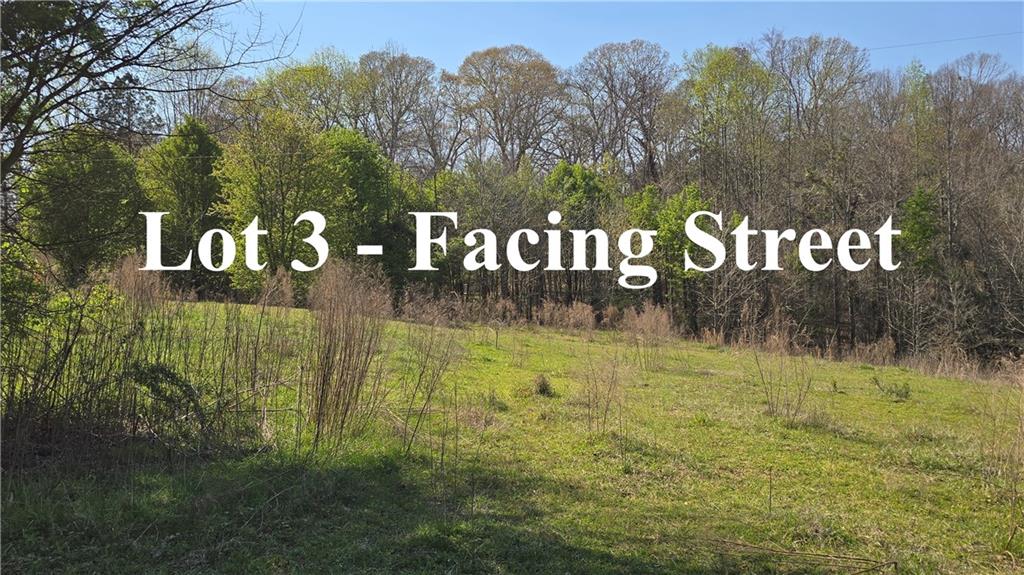 0 West H Hayes Road Winder, GA 30680 - Photo 7 of 10