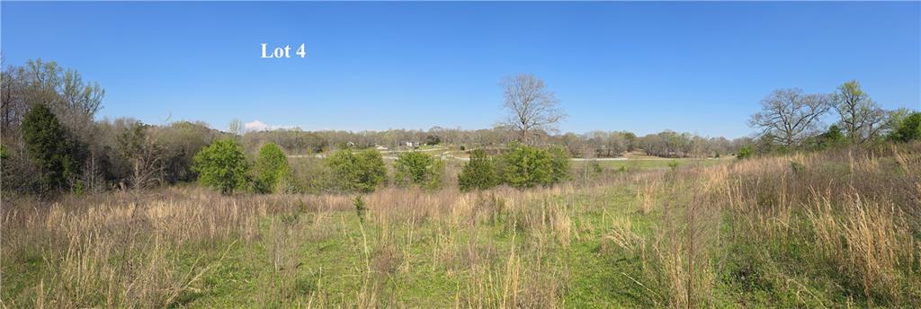 0 West H Hayes Road Winder, GA 30680 - Photo 9 of 10