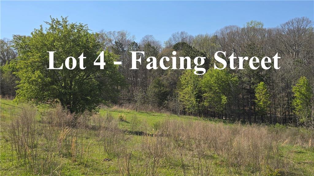 0 West H Hayes Road Winder, GA 30680 - Photo 10 of 10