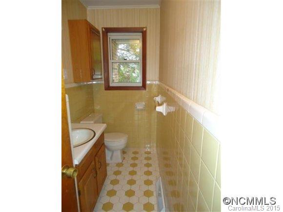 67 Deerlake Road Brevard, NC 28712 - Photo 17 of 17 Gallery Image 17