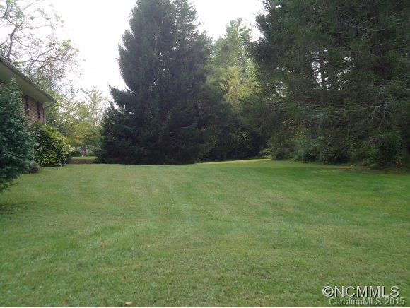 67 Deerlake Road Brevard, NC 28712 - Photo 4 of 17 Gallery Image 4