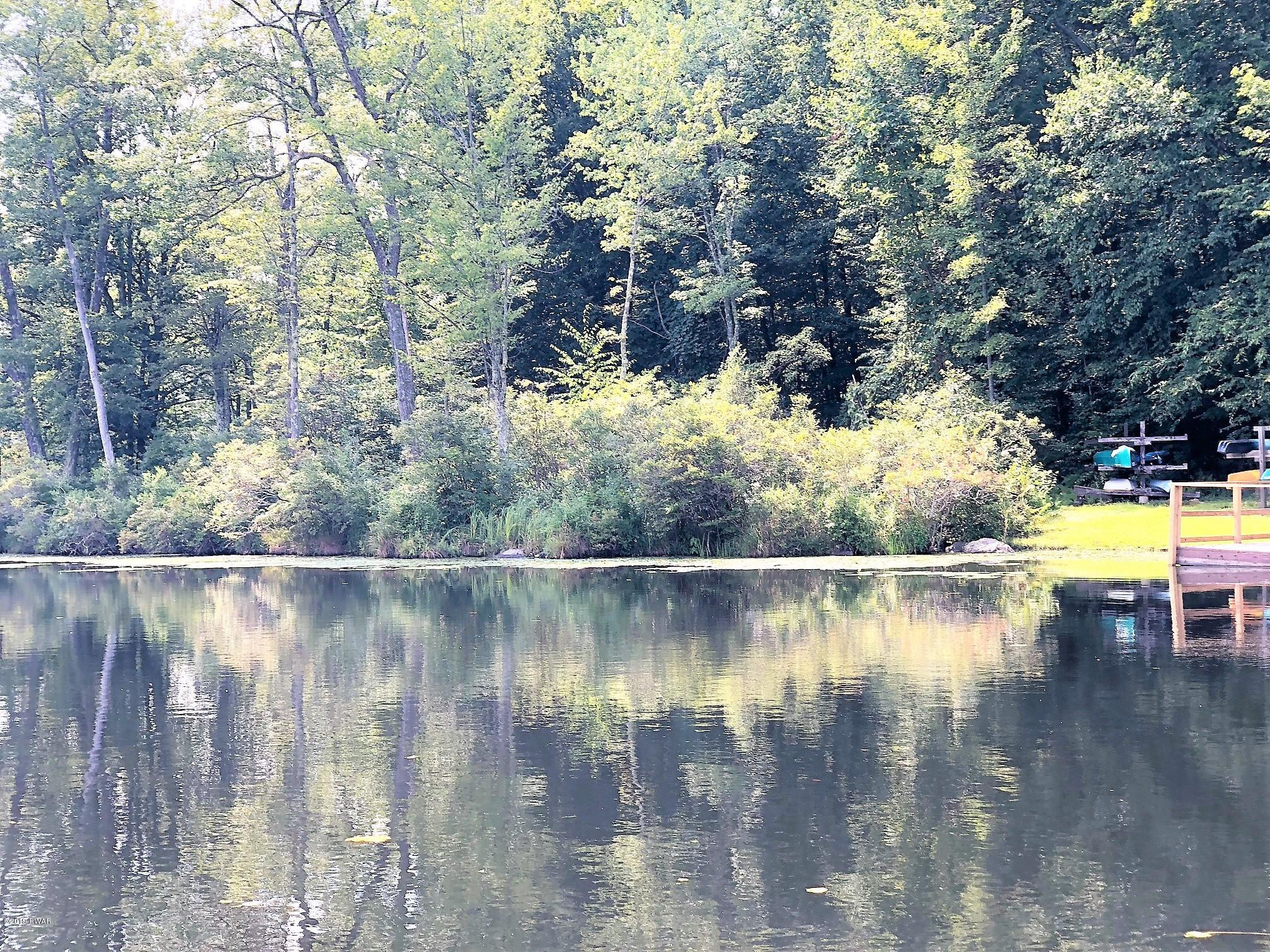 4 Big Spring Lane Lake Ariel, PA 18436 - Photo 50 of 53