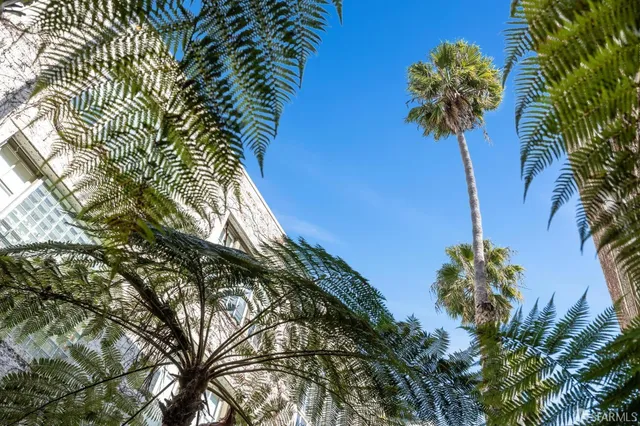 a plant that is in a yard