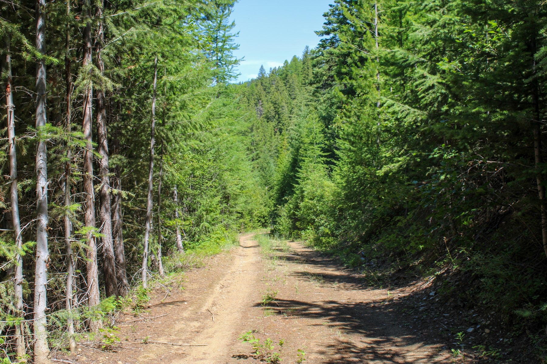 1 Pardee Flat Road Superior, MT 59872 - Photo 2 of 35 Gallery Image 2