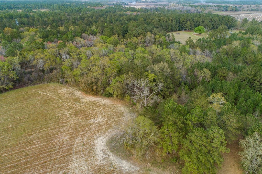 0 Coleman Road Dixie, GA 31629 - Photo 8 of 14 Gallery Image 8