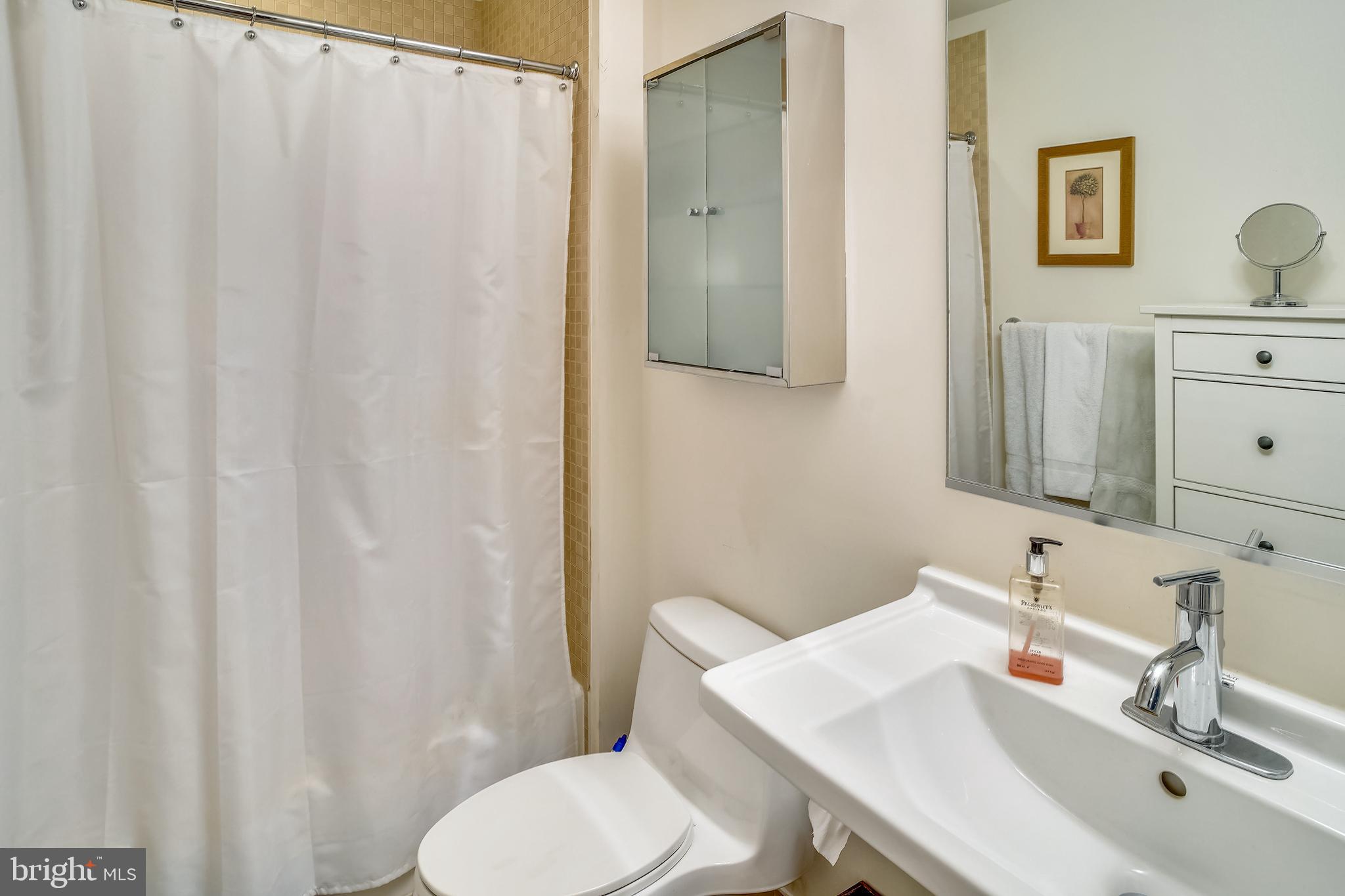 2125 14th Street Northwest, Unit 212 Washington, DC 20009 - Photo 17 of 21 a bathroom with a sink and a mirror