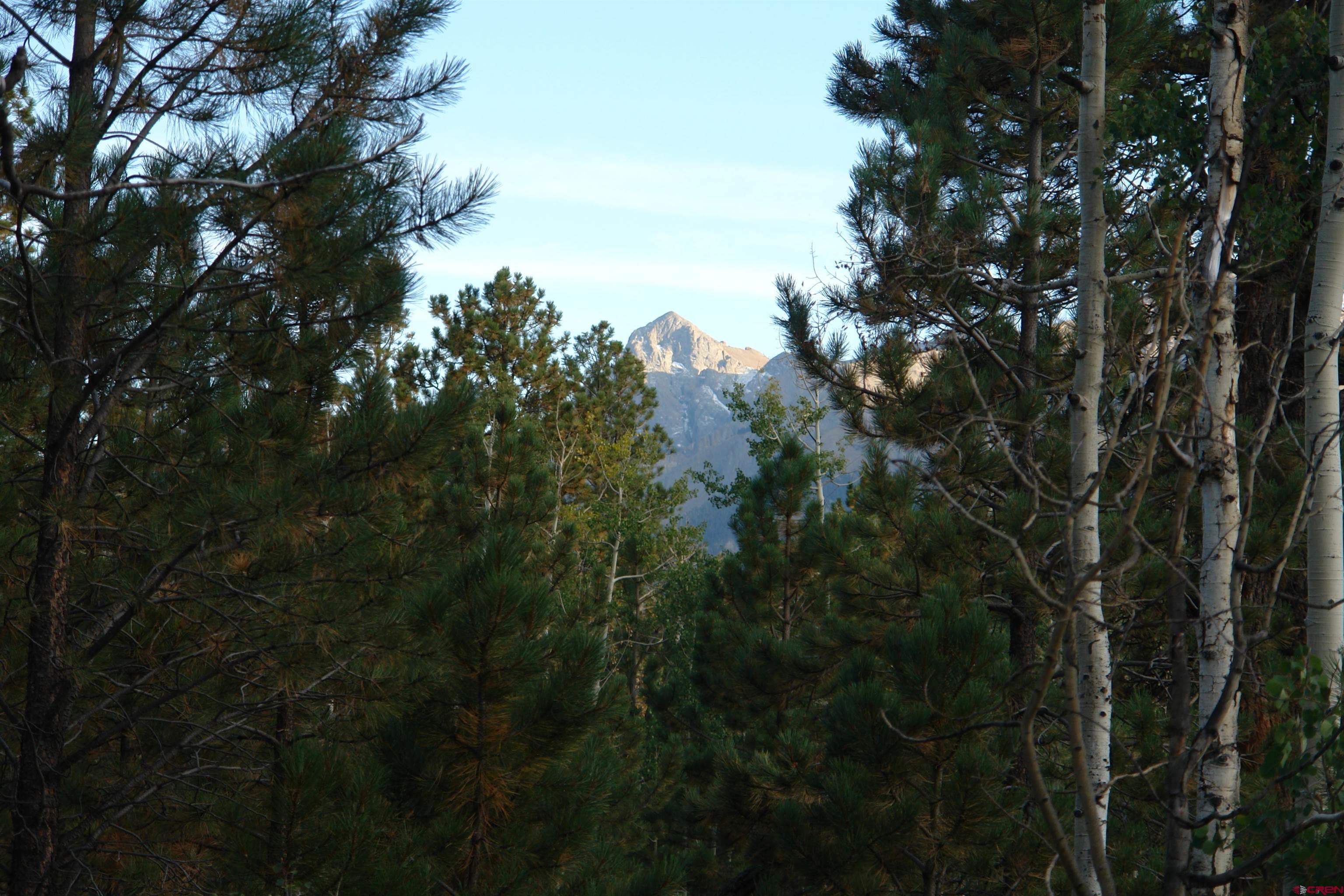 80 West Piney Woods Way Ridgway, CO 81432 - Photo 12 of 35 a view of forest