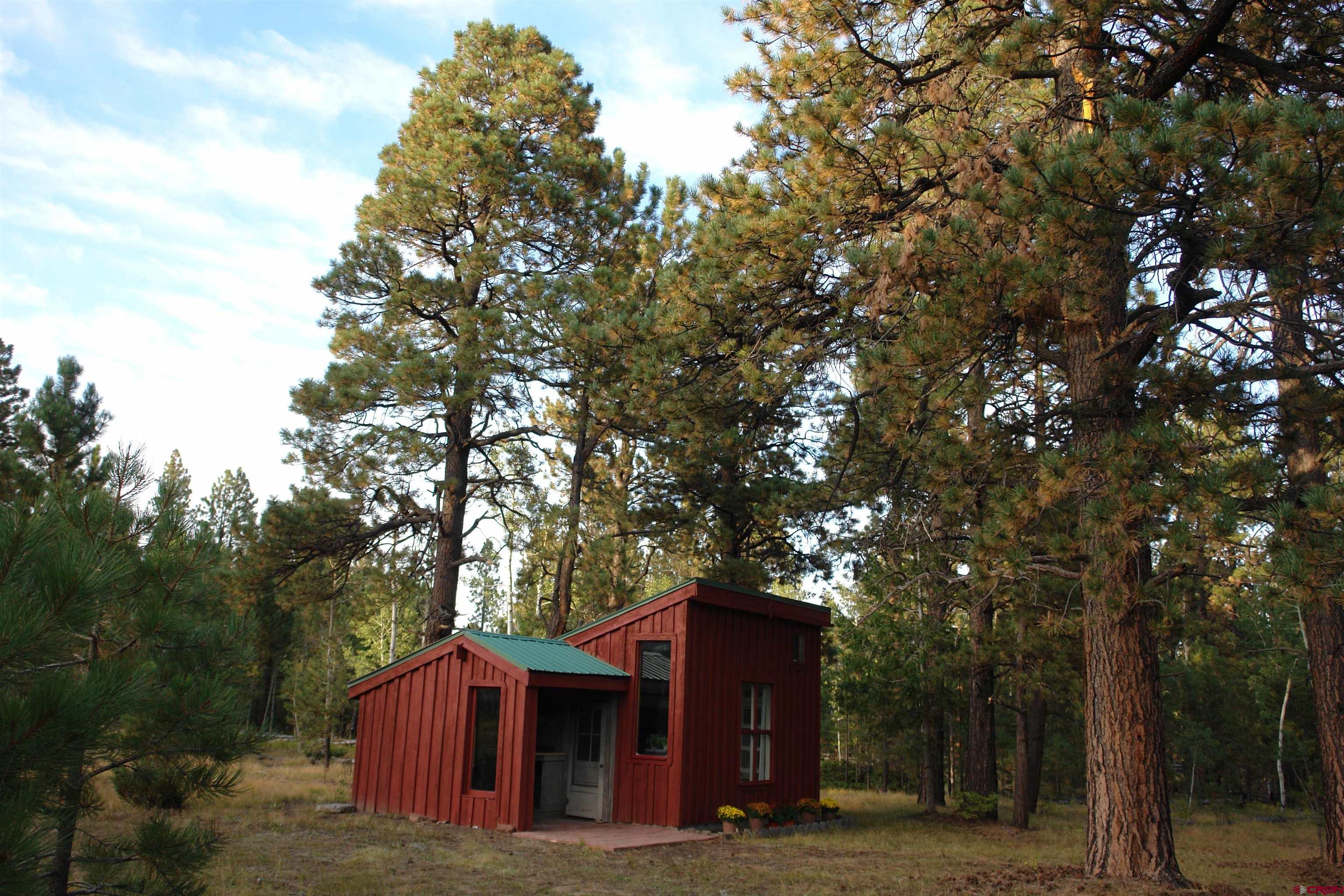80 West Piney Woods Way Ridgway, CO 81432 - Photo 13 of 35 a large tree in front of a house