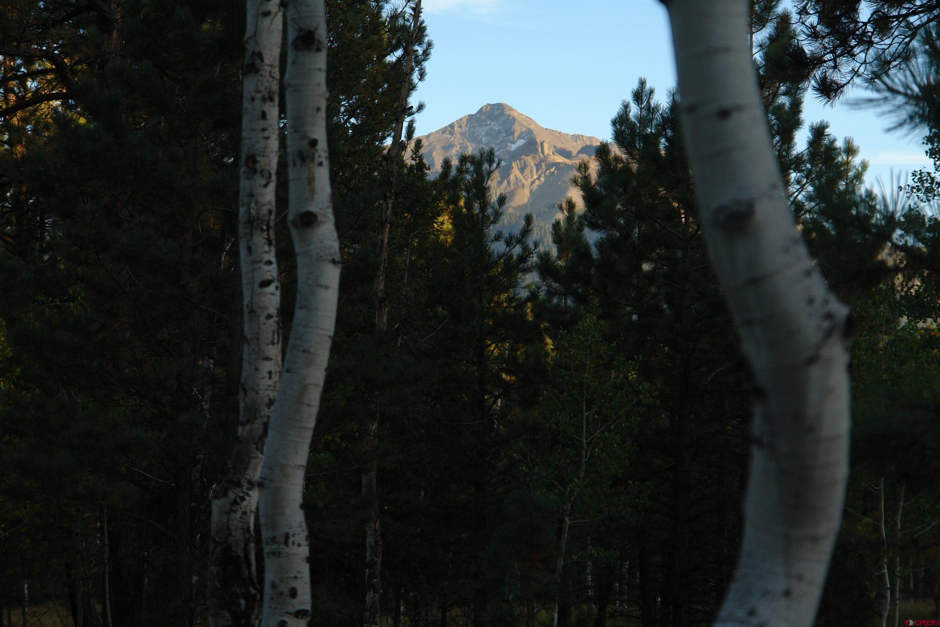 80 West Piney Woods Way Ridgway, CO 81432 - Photo 18 of 35 a close view of a shower