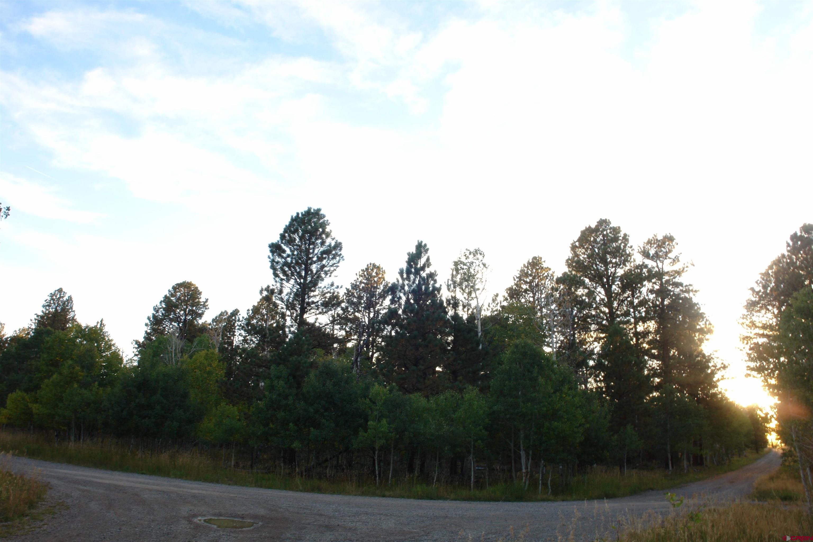 80 West Piney Woods Way Ridgway, CO 81432 - Photo 23 of 35 a view of a yard