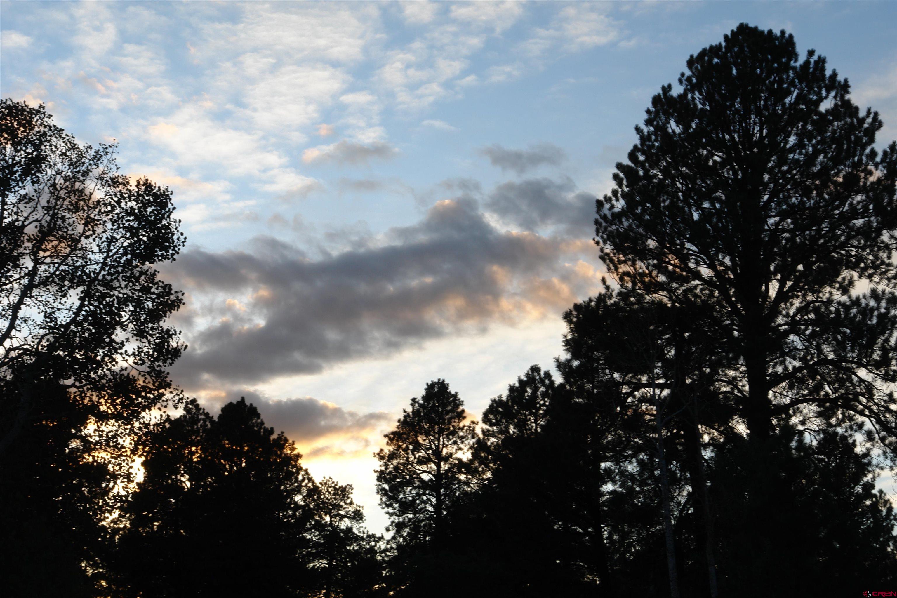 80 West Piney Woods Way Ridgway, CO 81432 - Photo 25 of 35 unknown