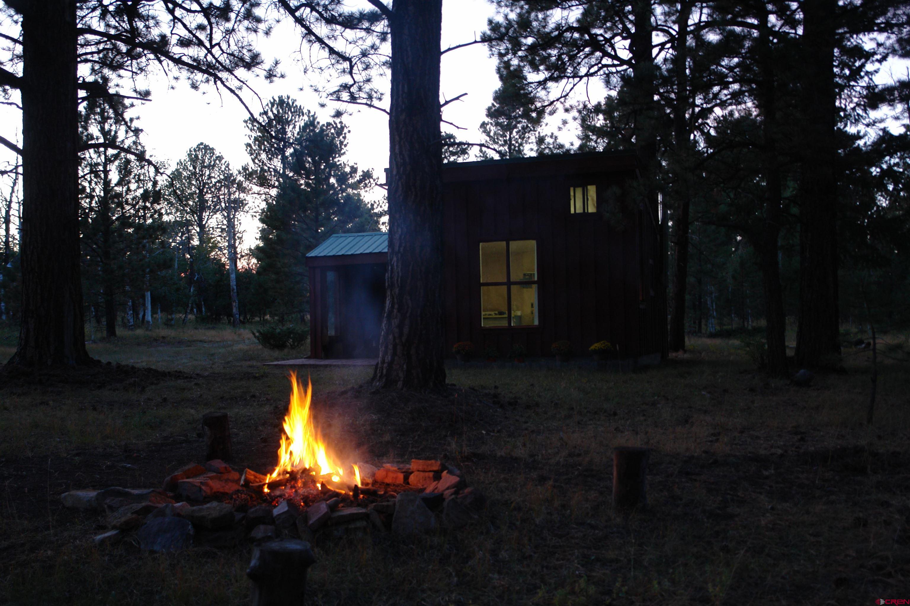 80 West Piney Woods Way Ridgway, CO 81432 - Photo 27 of 35 a view of a house with backyard garden and a tree