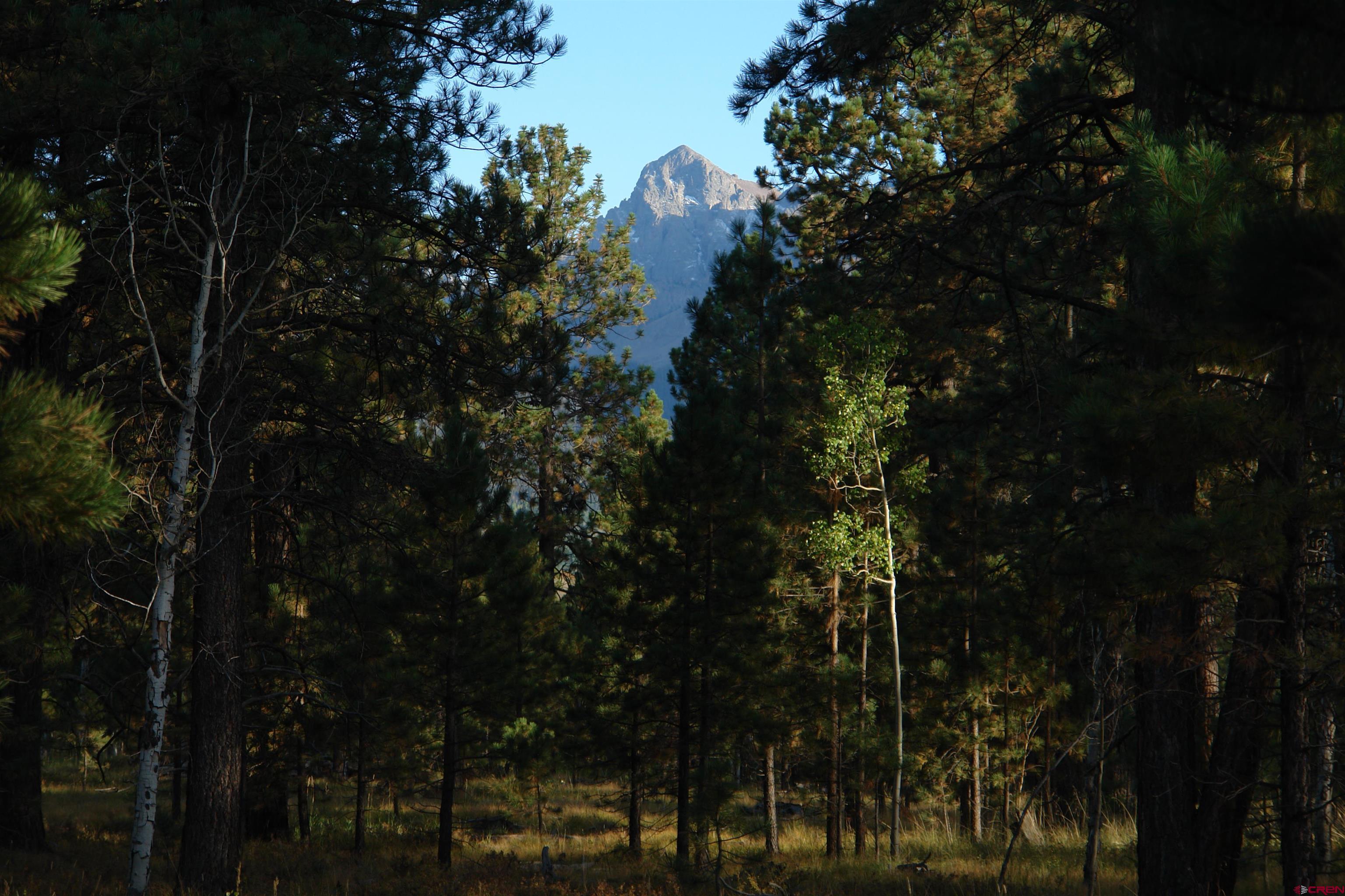 80 West Piney Woods Way Ridgway, CO 81432 - Photo 3 of 35