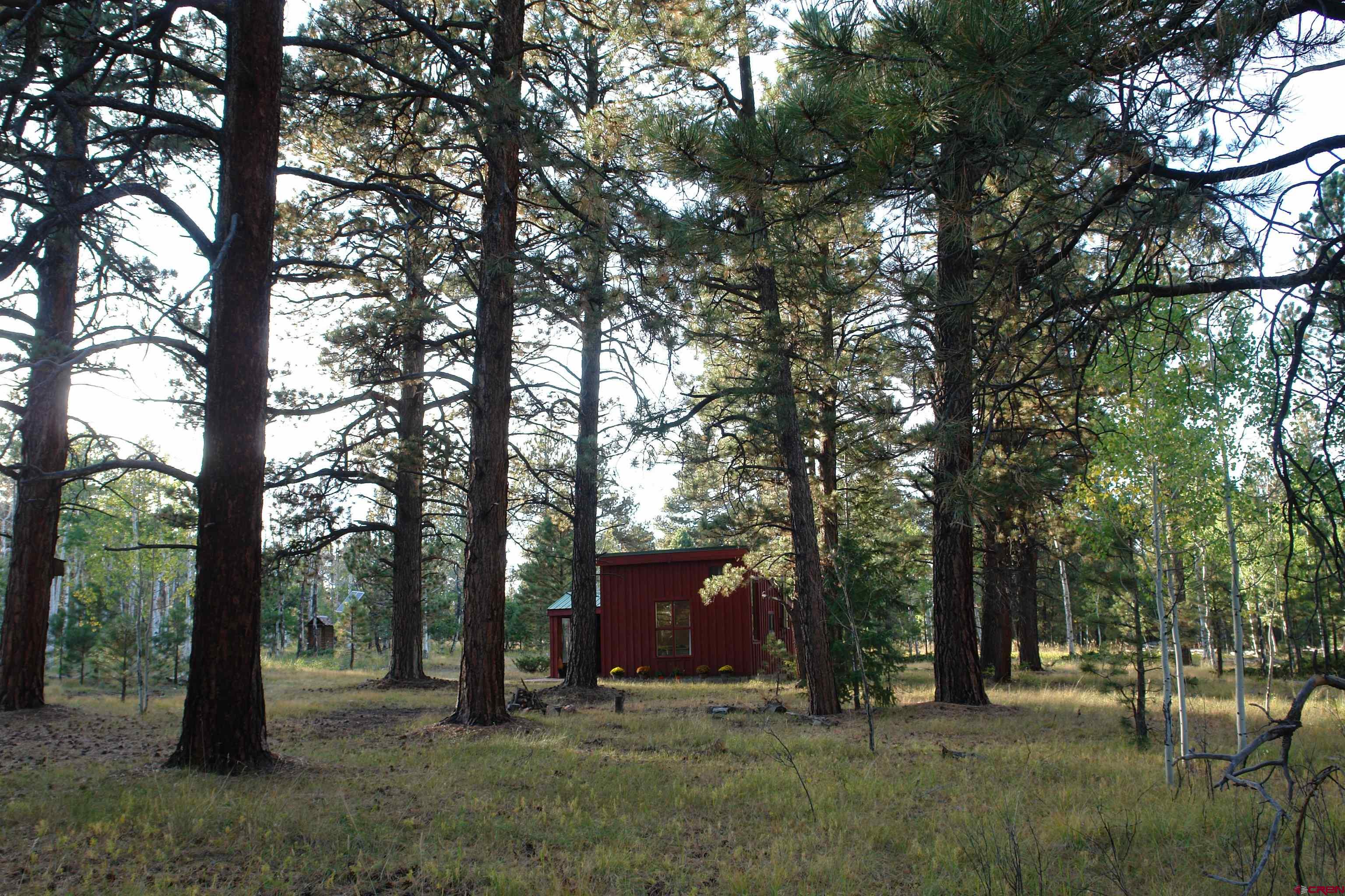 80 West Piney Woods Way Ridgway, CO 81432 - Photo 4 of 35 a view of outdoor space with trees