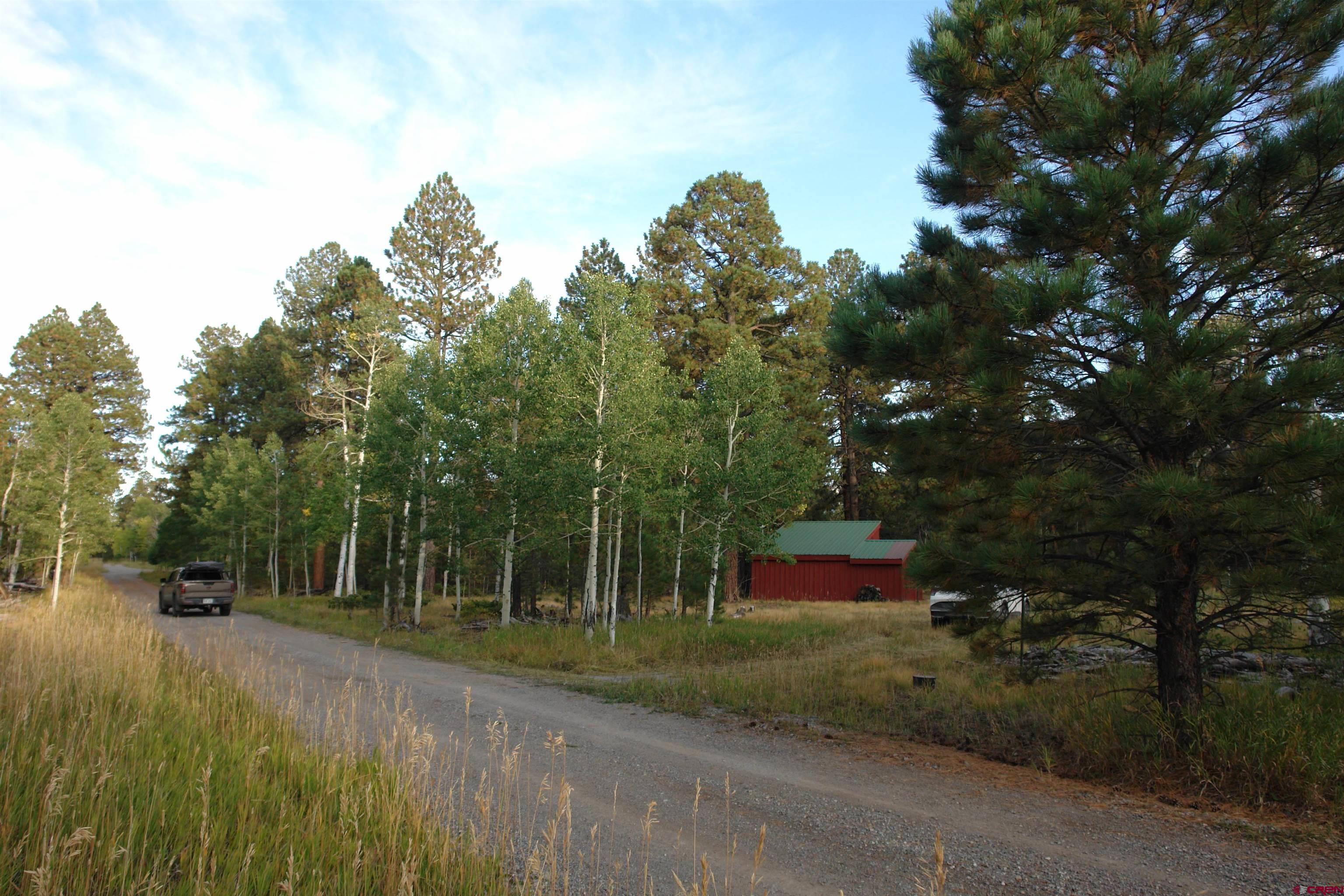 80 West Piney Woods Way Ridgway, CO 81432 - Photo 6 of 35
