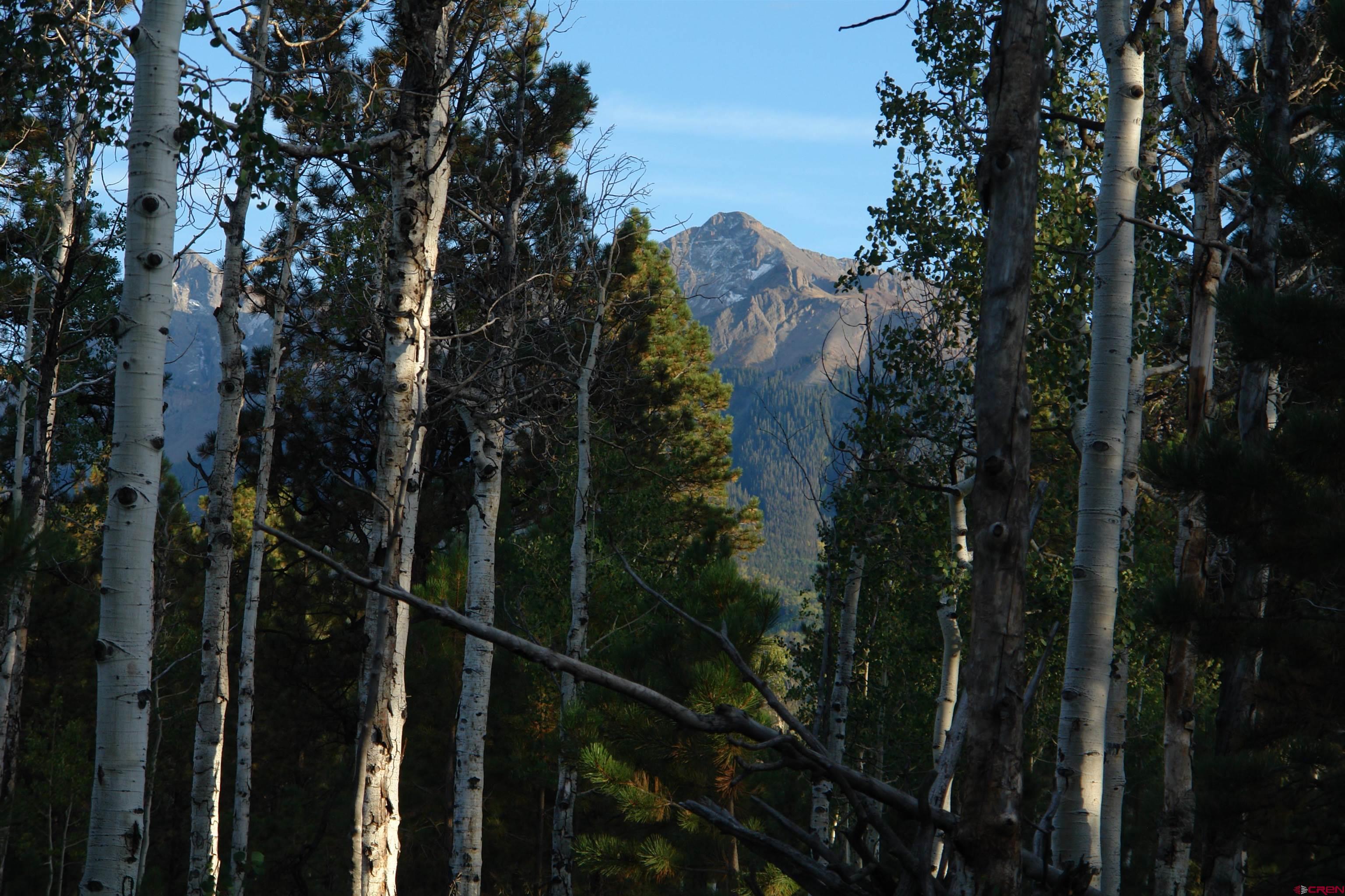 80 West Piney Woods Way Ridgway, CO 81432 - Photo 8 of 35 a view of a balcony