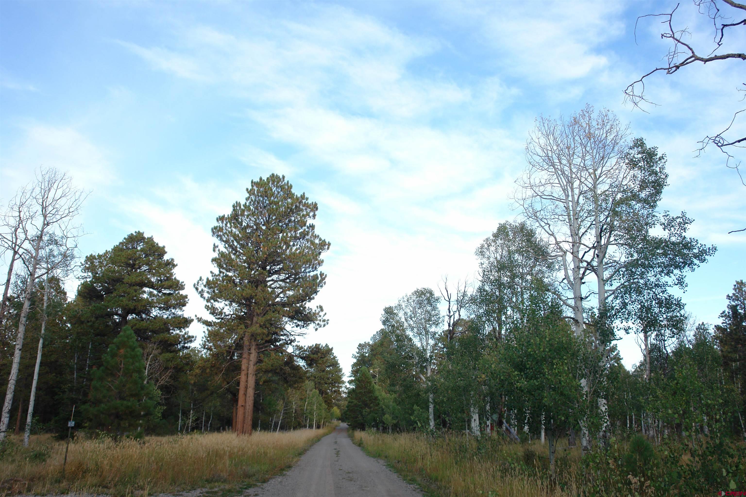 80 West Piney Woods Way Ridgway, CO 81432 - Photo 9 of 35 a view of a lake with trees in the background