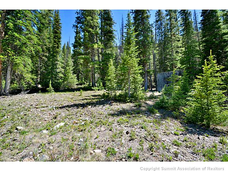 100 Scr 275 Road Dillon, CO 80435 - Photo 11 of 22 Land/Lot.