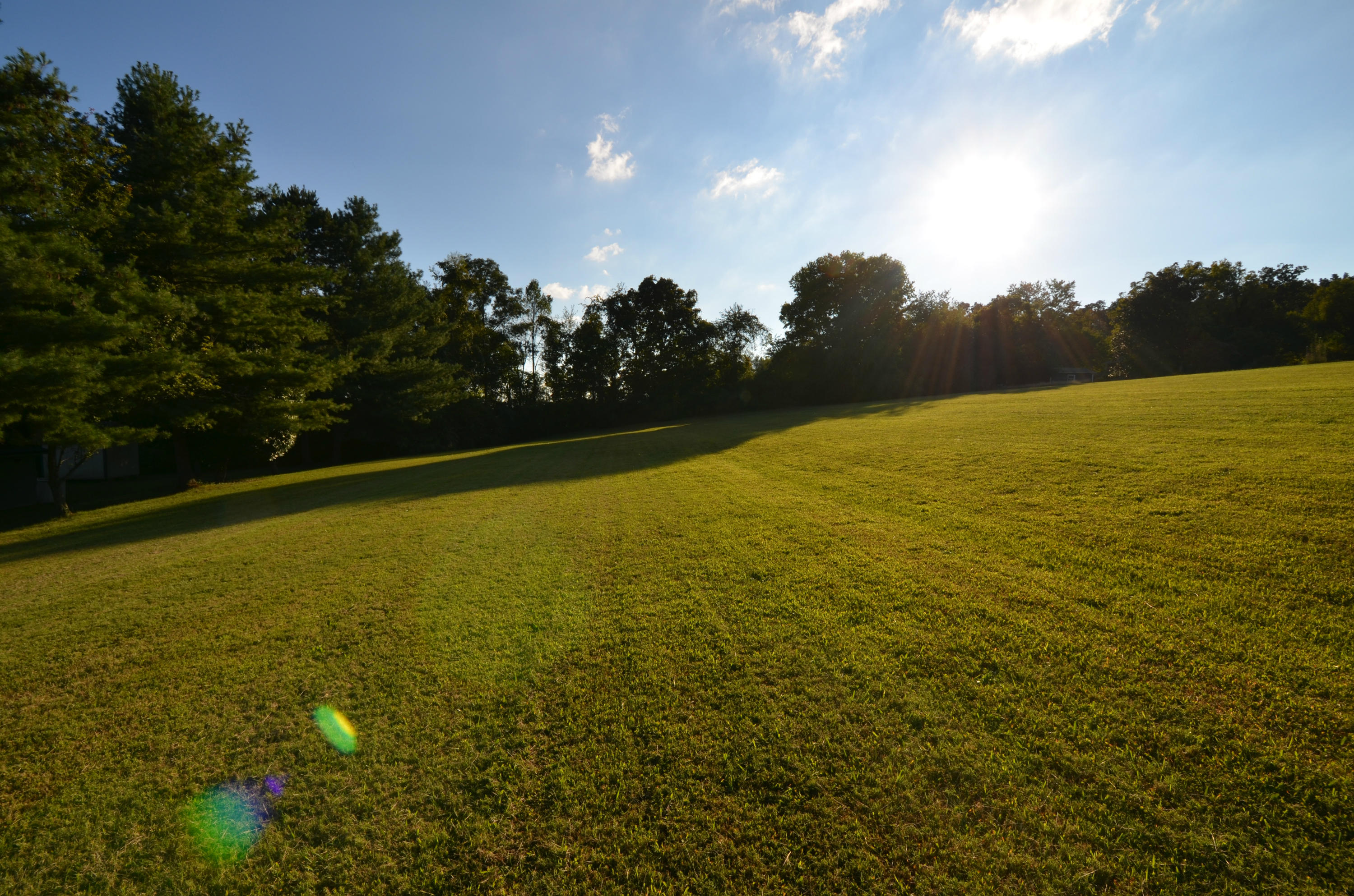 239 Admiral Road Knoxville, TN 37934 - Photo 2 of 19 DSC_1371