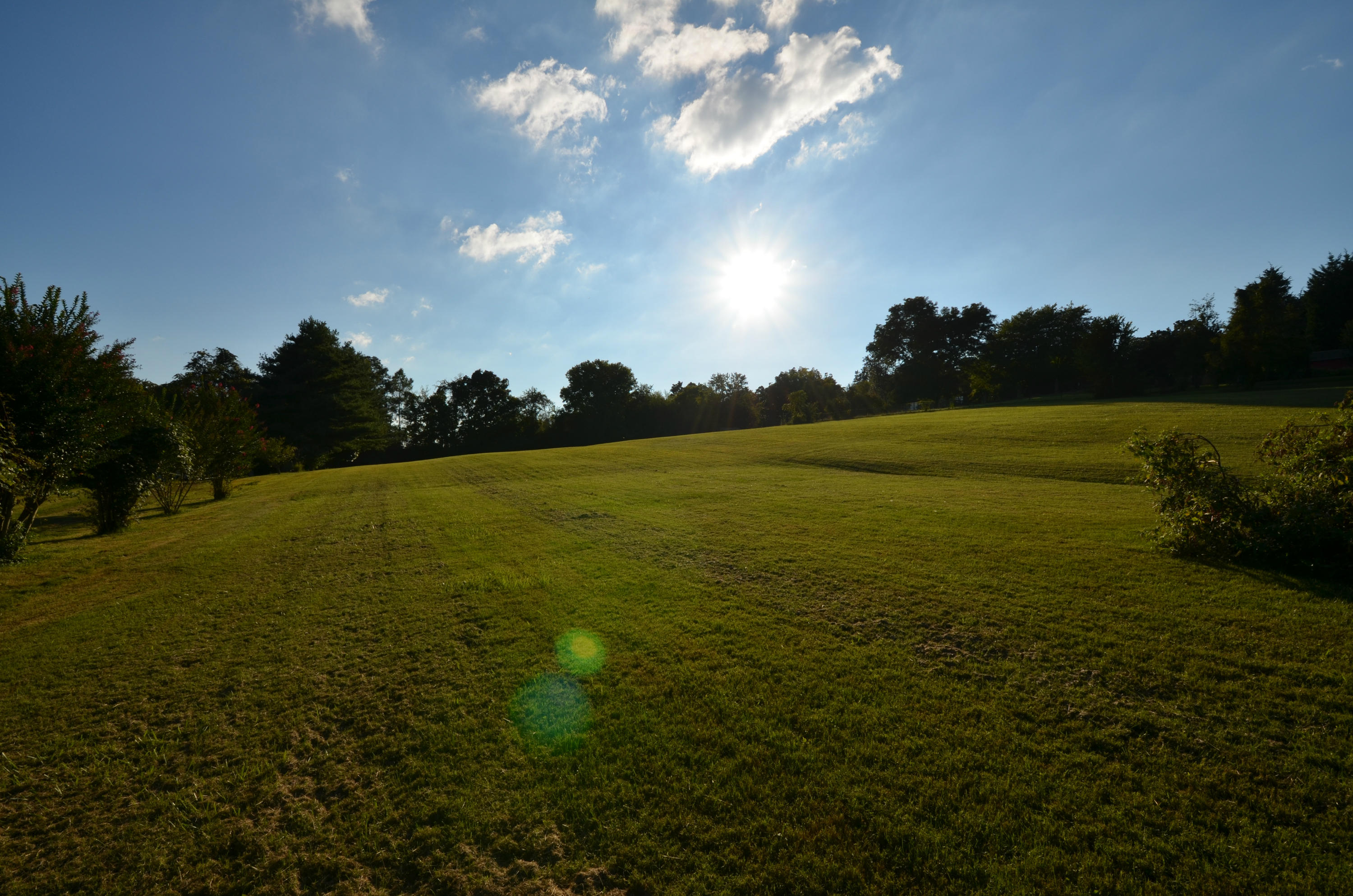 239 Admiral Road Knoxville, TN 37934 - Photo 14 of 19 DSC_1365
