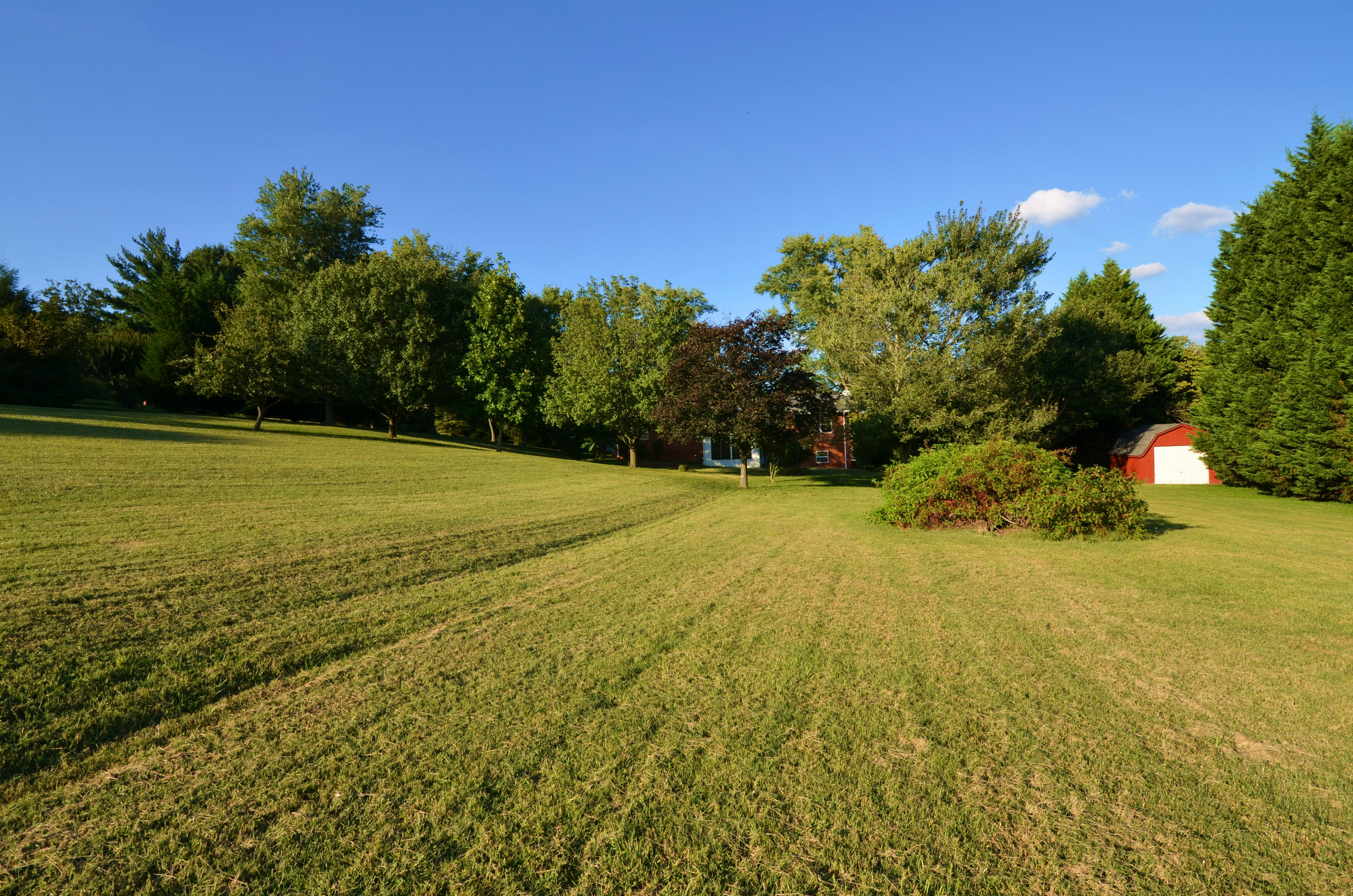 239 Admiral Road Knoxville, TN 37934 - Photo 15 of 19 DSC_1366