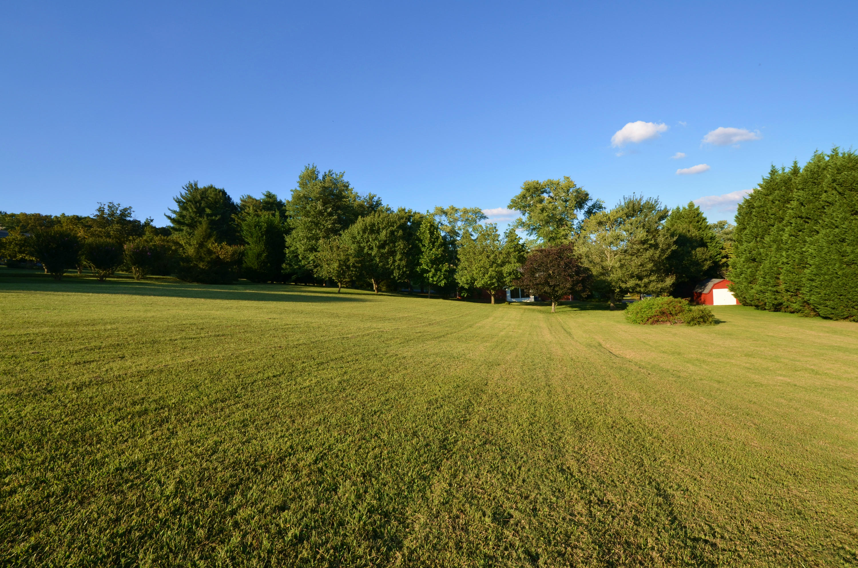 239 Admiral Road Knoxville, TN 37934 - Photo 16 of 19 DSC_1367