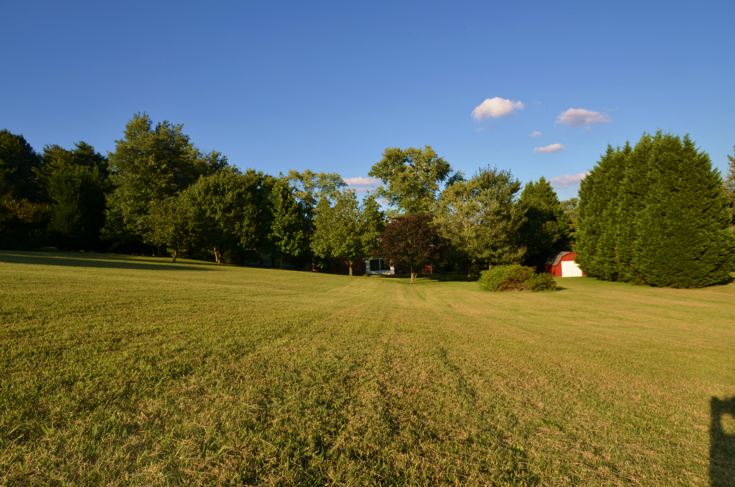 239 Admiral Road Knoxville, TN 37934 - Photo 17 of 19 DSC_1368