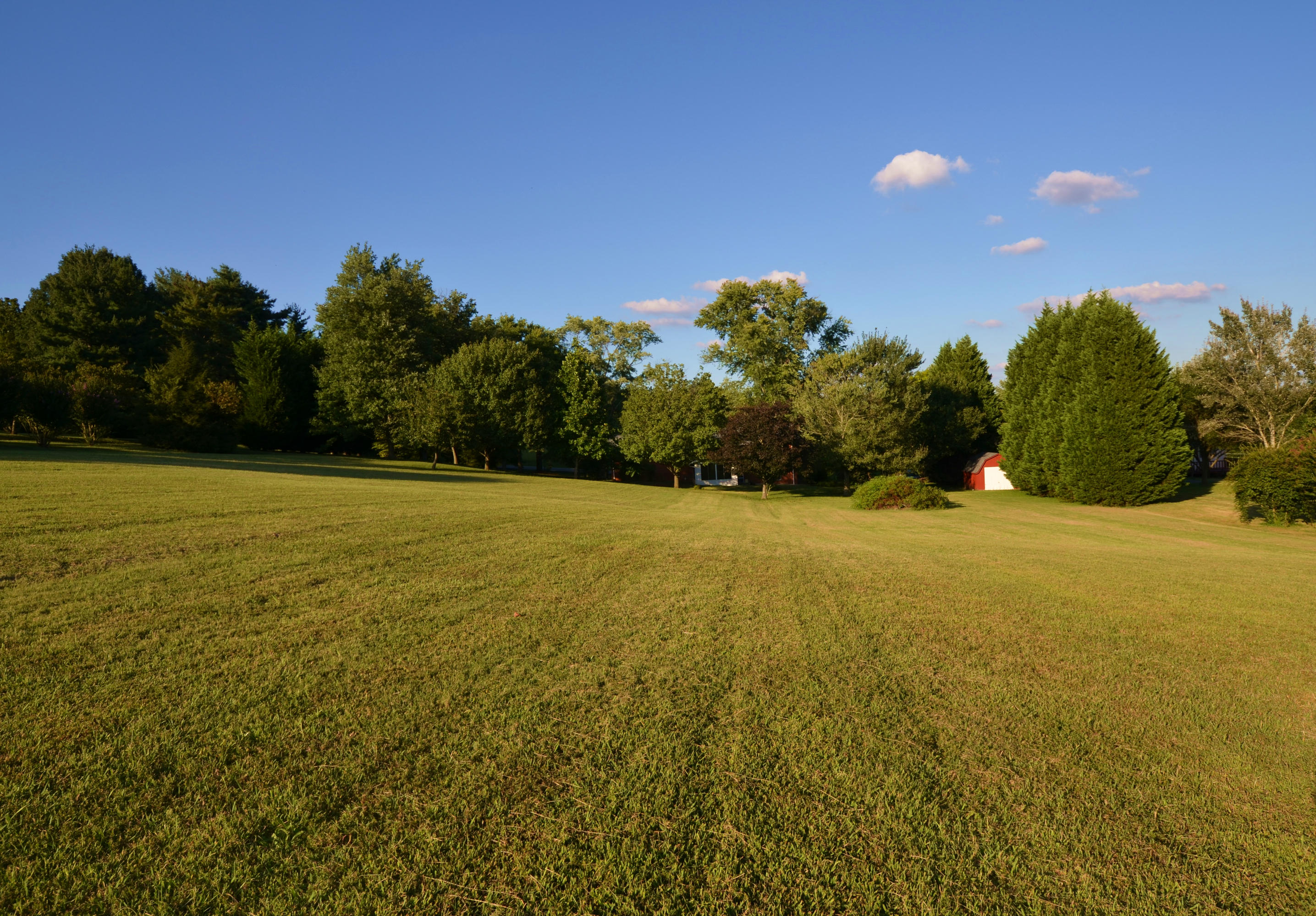 239 Admiral Road Knoxville, TN 37934 - Photo 18 of 19 DSC_1369