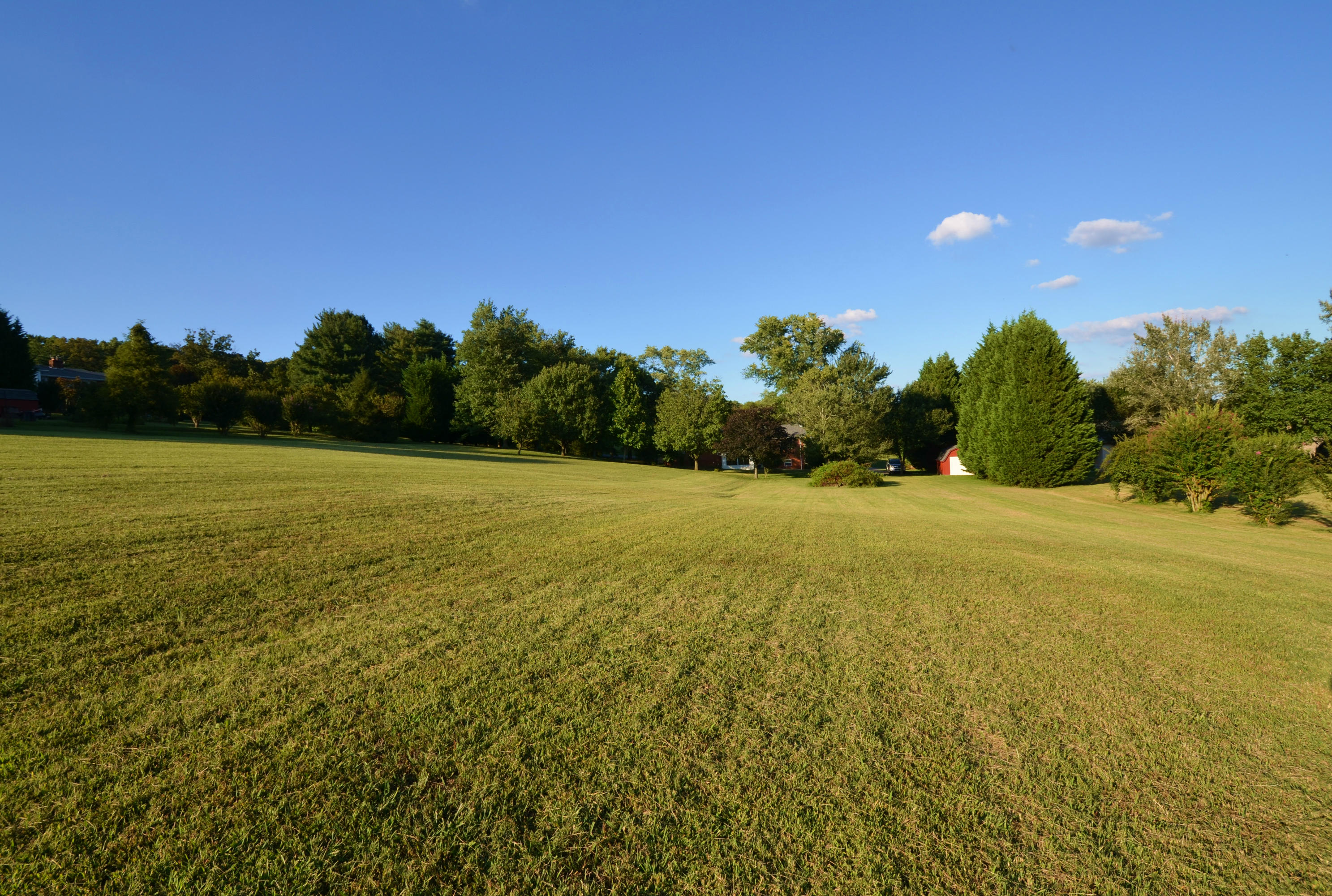 239 Admiral Road Knoxville, TN 37934 - Photo 19 of 19 DSC_1370
