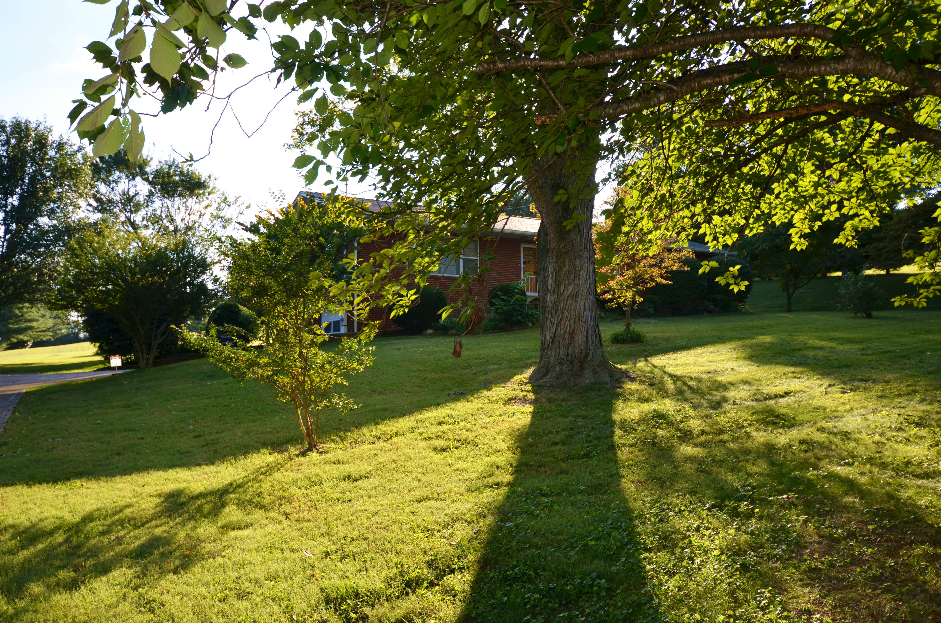 239 Admiral Road Knoxville, TN 37934 - Photo 3 of 19 DSC_1353