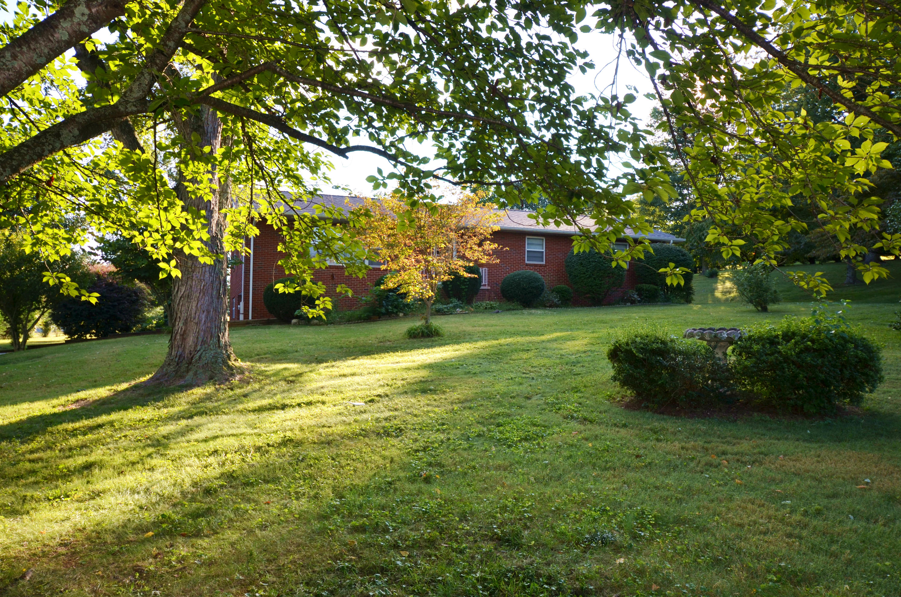 239 Admiral Road Knoxville, TN 37934 - Photo 4 of 19 DSC_1354