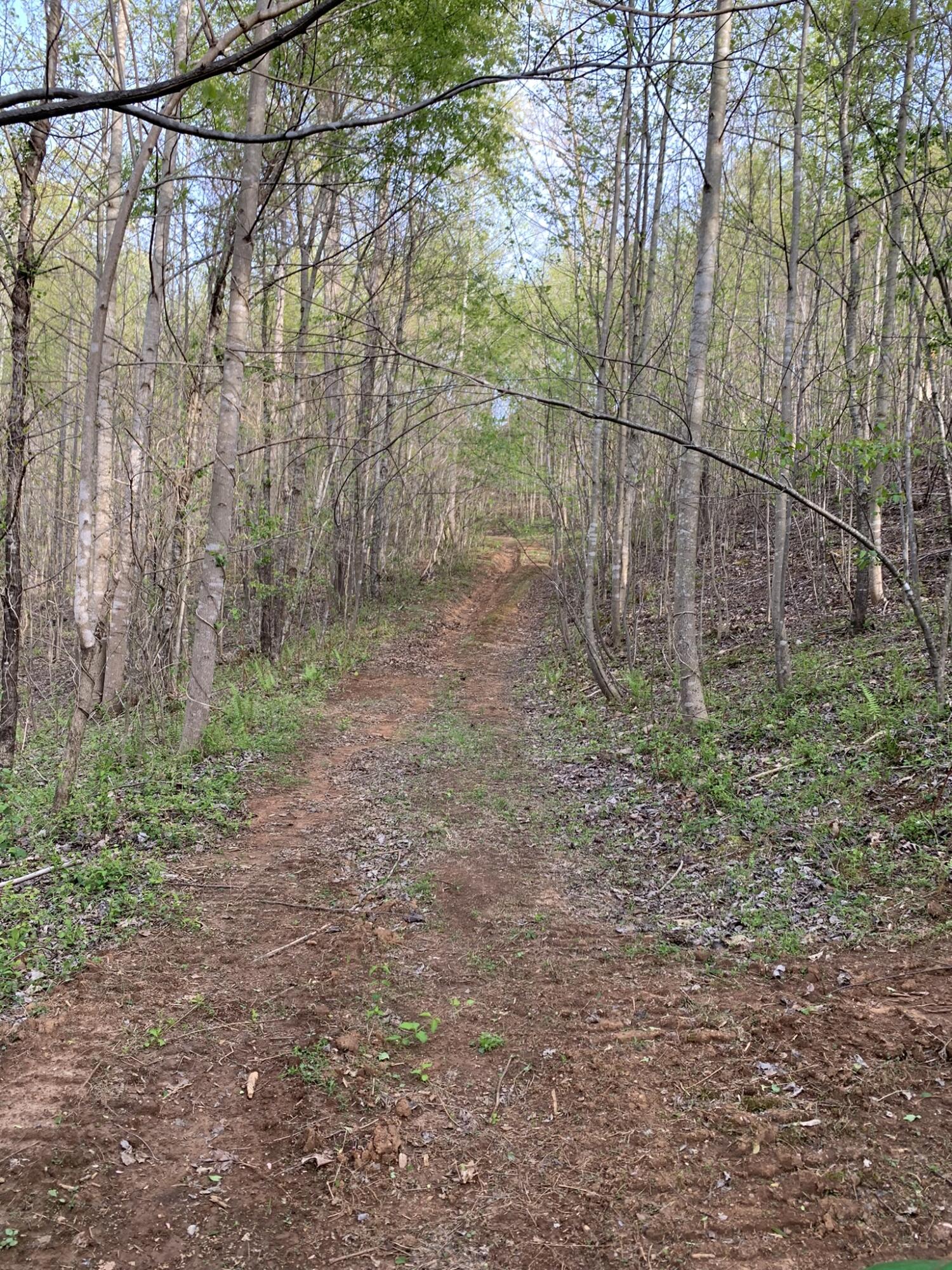 Parcel C Hardy Road Hardy, VA 24101 - Photo 5 of 10 a backyard of a house with lots of green space
