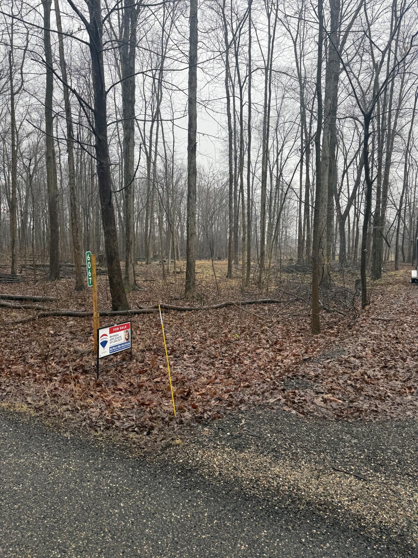 6067 Leora Lane Jackson, MI 49201 - Photo 1 of 7 Leora 2