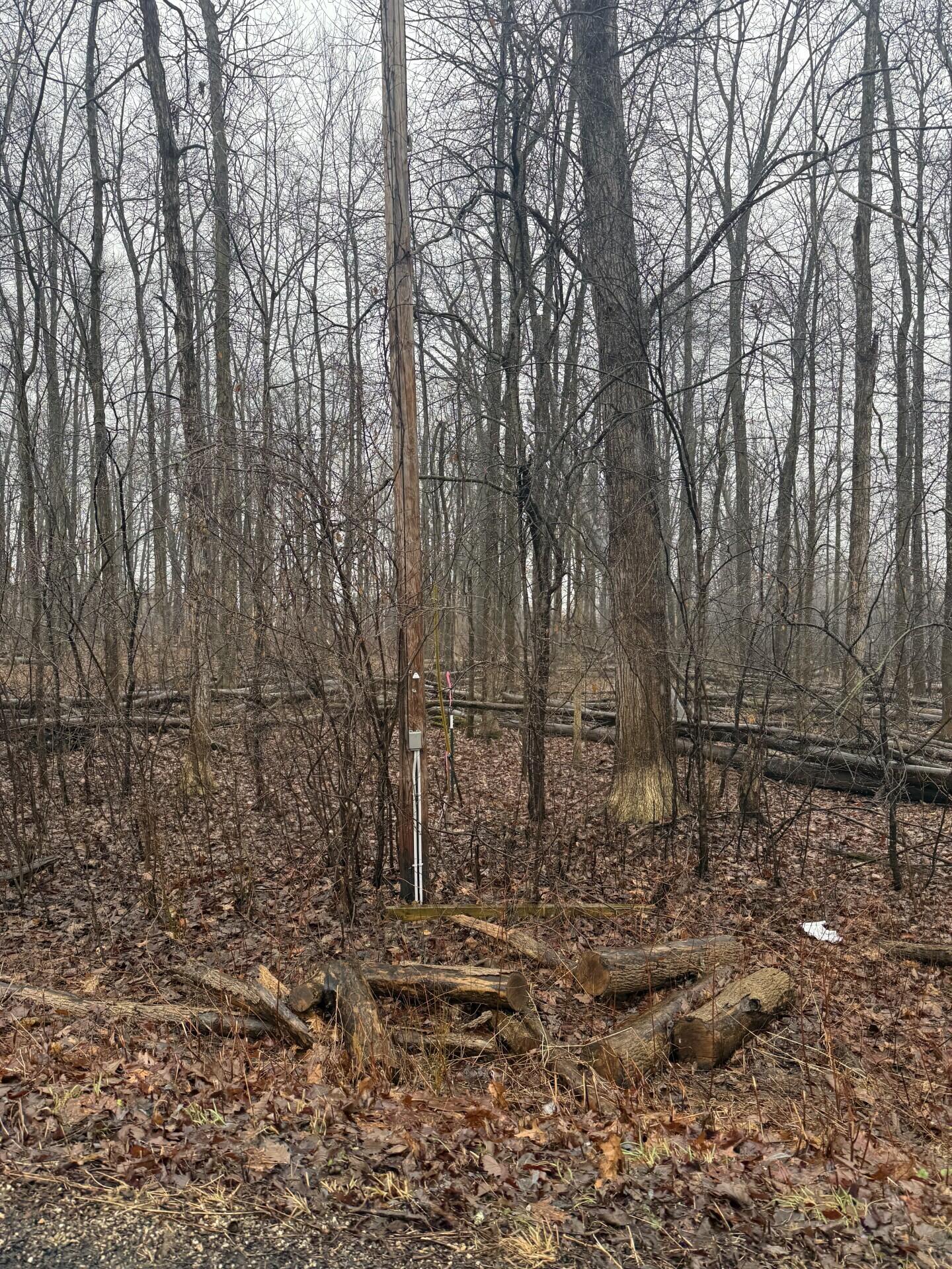 6067 Leora Lane Jackson, MI 49201 - Photo 4 of 7 Leora 4