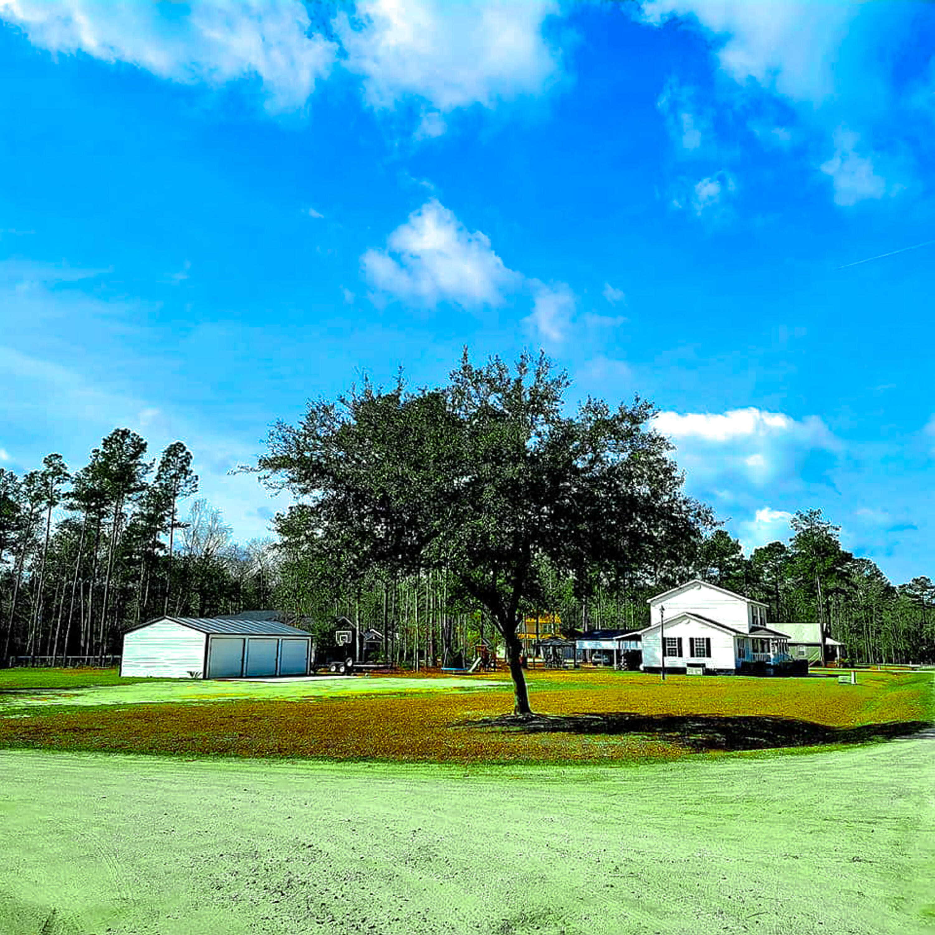 21 Tin Cup Lane Walterboro, SC 29488 - Photo 2 of 67 2
