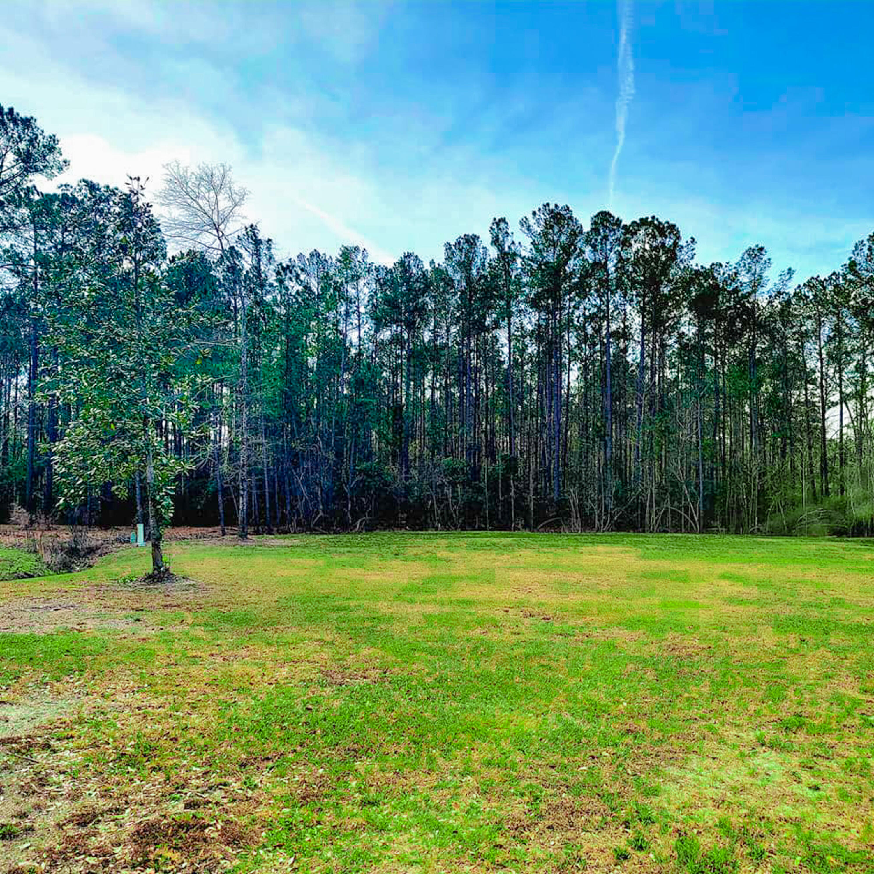 21 Tin Cup Lane Walterboro, SC 29488 - Photo 58 of 67 58