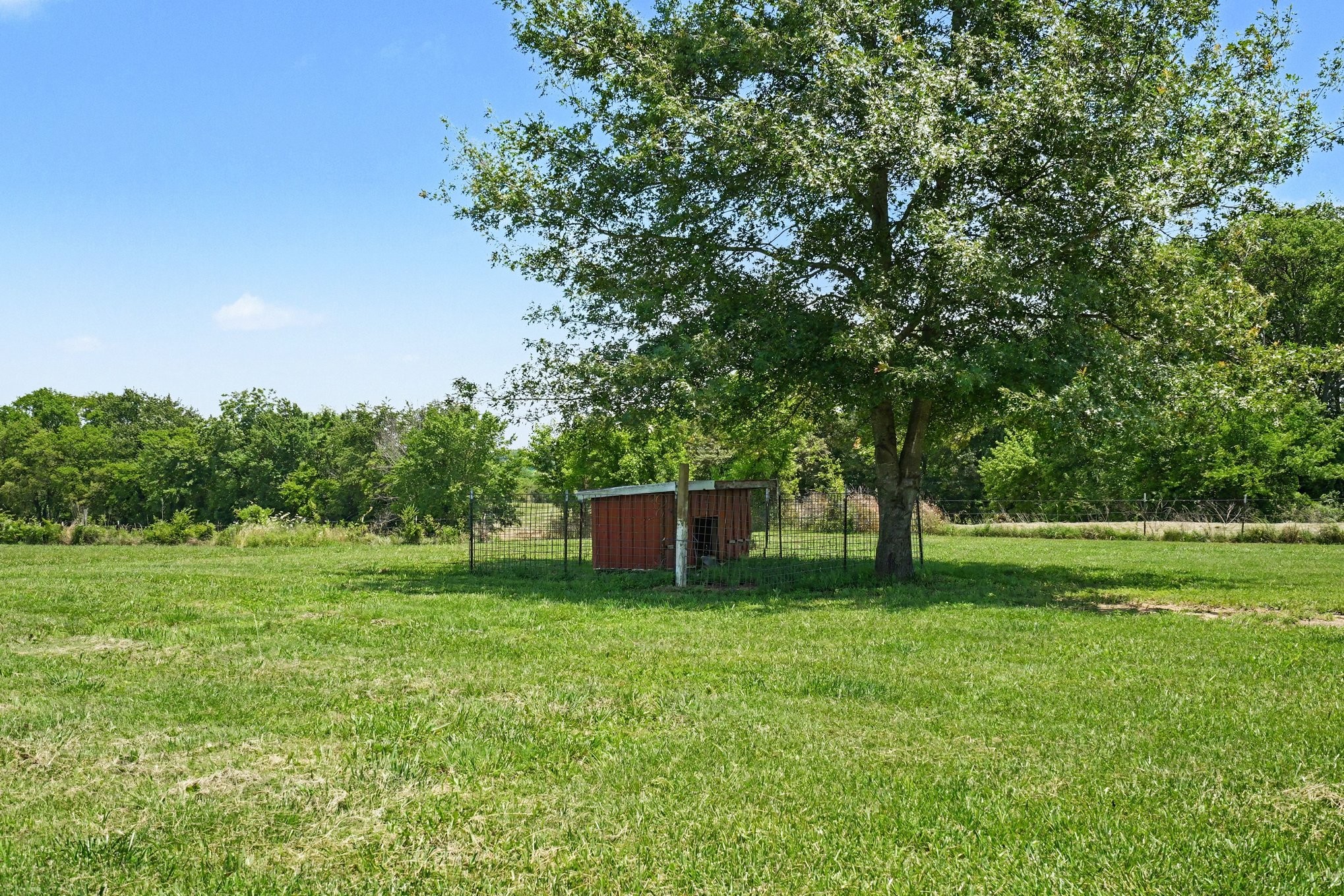 4436 Barren Plains Road Springfield, TN 37172 - Photo 36 of 53