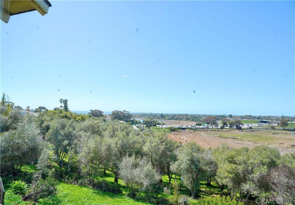 2323 Pio Pico Drive Carlsbad, CA 92008 - Photo 25 of 44